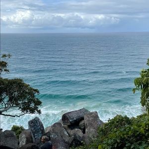 Meet your Posher, Matilda